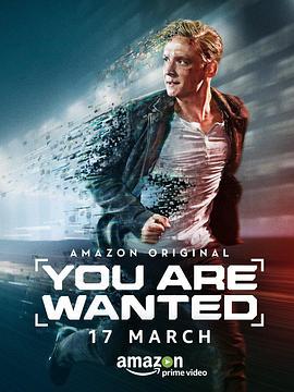 网络寻凶 第一季 You Are Wanted Season 1 (2017)海报