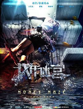 钱形迷宫 (2016)海报