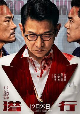 潜行 潛行 (2023) guo_yu海报