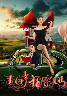 我的幸福密码 (2017)海报