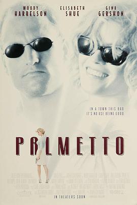 防不胜防 Palmetto (1998)海报