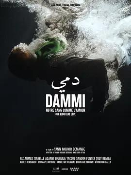 达米 Dammi (2023)海报