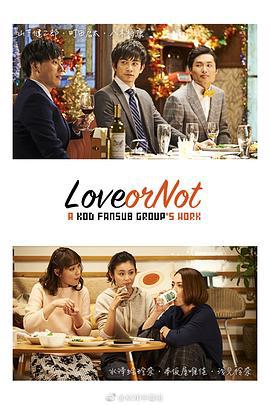 Love or Not (2017)海报