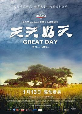 天天好天 (2011)海报