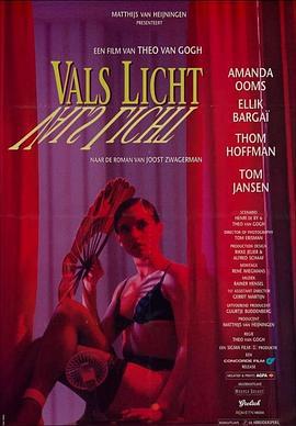 错误指控 Vals licht (1993)海报