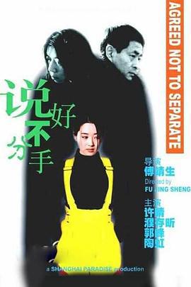 说好不分手 (1999)海报