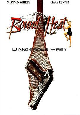 危险猎物 Dangerous Prey (1995)海报