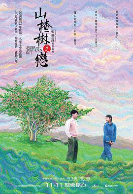 山楂树之恋 (2010)海报