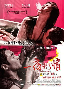 一夜未了情 (2011)海报