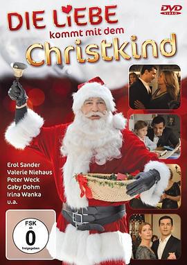 爱是圣诞节 Die Liebe kommt mit dem Christkind (2010)海报