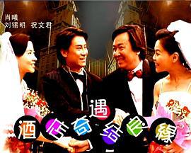 酒店奇遇结良缘 (2004)海报