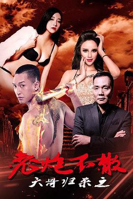 大哥归来之老炮不散 (2016)海报