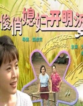 俊俏媳妇开明婆 (2000)海报