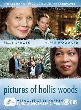 孤女梦痕 Pictures of Hollis Woods (2007)海报