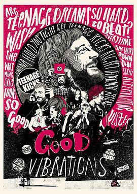 美妙共振 Good Vibrations (2013)海报
