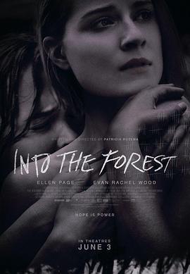 森林深处 Into the Forest (2015)海报