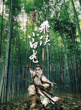 飞侠小白龙 飛俠小白龍 (2004)海报