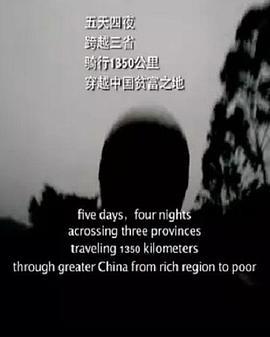 1350KM (2011)海报