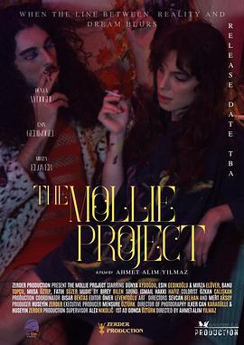 莫莉计划 The Mollie Project (2025)海报