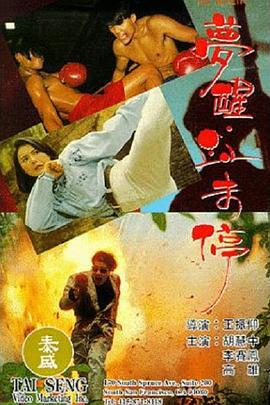 梦醒血未停 夢醒血未停 (1991)海报