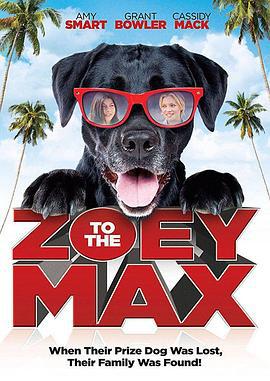 佐伊和麦克斯 Zoey to the Max (2013)海报