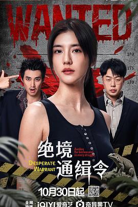绝境通缉令 (2025)海报