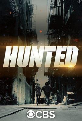 潜行追踪(美版) 第一季 Hunted Season 1 (2017)海报