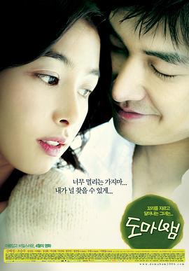 蜥蜴 도마뱀 (2006)海报
