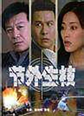 节外生枝 (2007)海报
