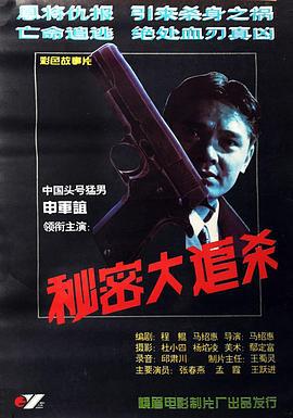秘密大追杀 (1995)海报