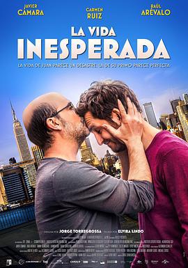 意外人生 La vida inesperada (2013)海报