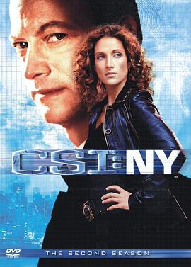 犯罪现场调查：纽约 第二季 CSI: NY Season 2 (2005)海报
