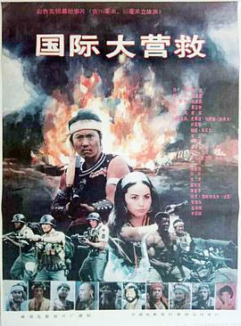 国际大营救 (1990)海报
