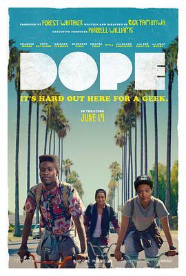 酷毙了 Dope (2015)海报