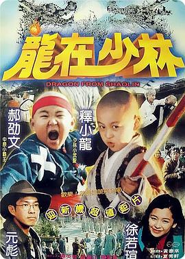 龙在少林 龍在少林 (1996)海报
