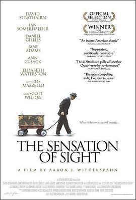 内心的幽灵 The Sensation of Sight (2007)海报
