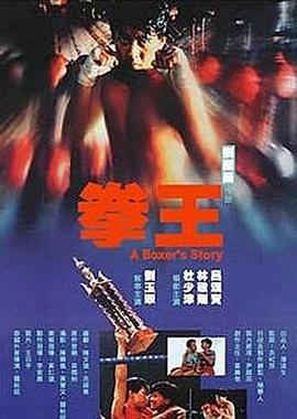 拳王 (1991)海报