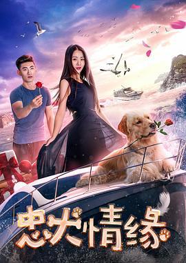 忠犬情缘 (2017)海报