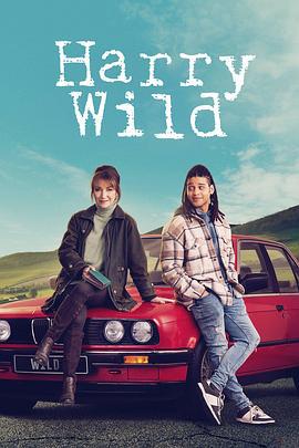 野探哈莉 第三季 Harry Wild Season 3 (2024)海报