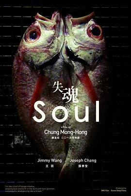 失魂 (2013)海报