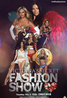 维多利亚的秘密2013时装秀 The Victoria's Secret Fashion Show 2013 (2013)海报