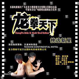 龙拳天下 (2008)海报