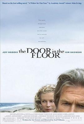 寡居的一年 The Door in the Floor (2004)海报