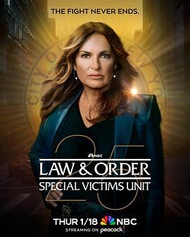 法律与秩序：特殊受害者 第二十五季 Law & Order: Special Victims Unit Season 25 (2024)海报