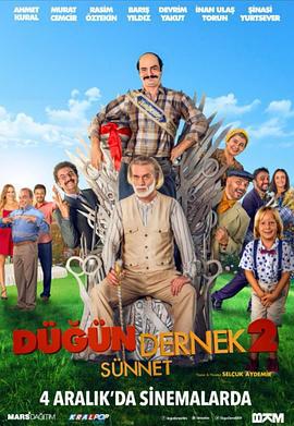我盛大的土耳其婚礼2 Dügün Dernek 2: Sünnet (2015)海报