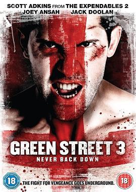 足球流氓3 Green Street 3: Never Back Down (2013)海报