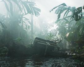 穿越亚马逊 Transamazonia (2024)海报