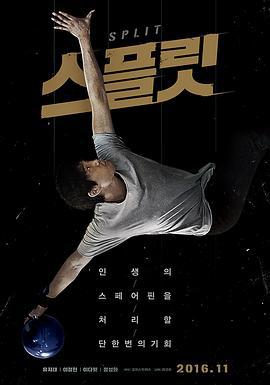 分瓶 스플릿 (2016)海报