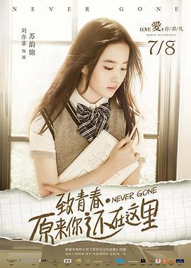 致青春·原来你还在这里 (2016)海报