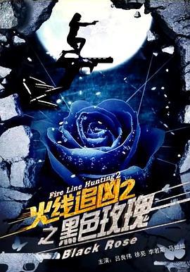 火线追凶2之黑色玫瑰 (2013)海报